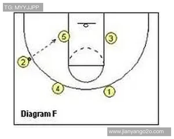 广州排球队快攻战术解析与实战应用探讨